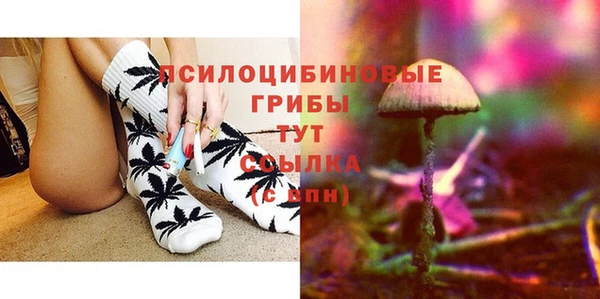 герыч Бородино