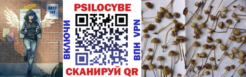 продажа наркотиков  Высоцк  Псилоцибиновые грибы MAGIC MUSHROOMS 