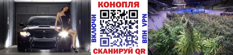 Шишки марихуана гибрид  Высоцк 